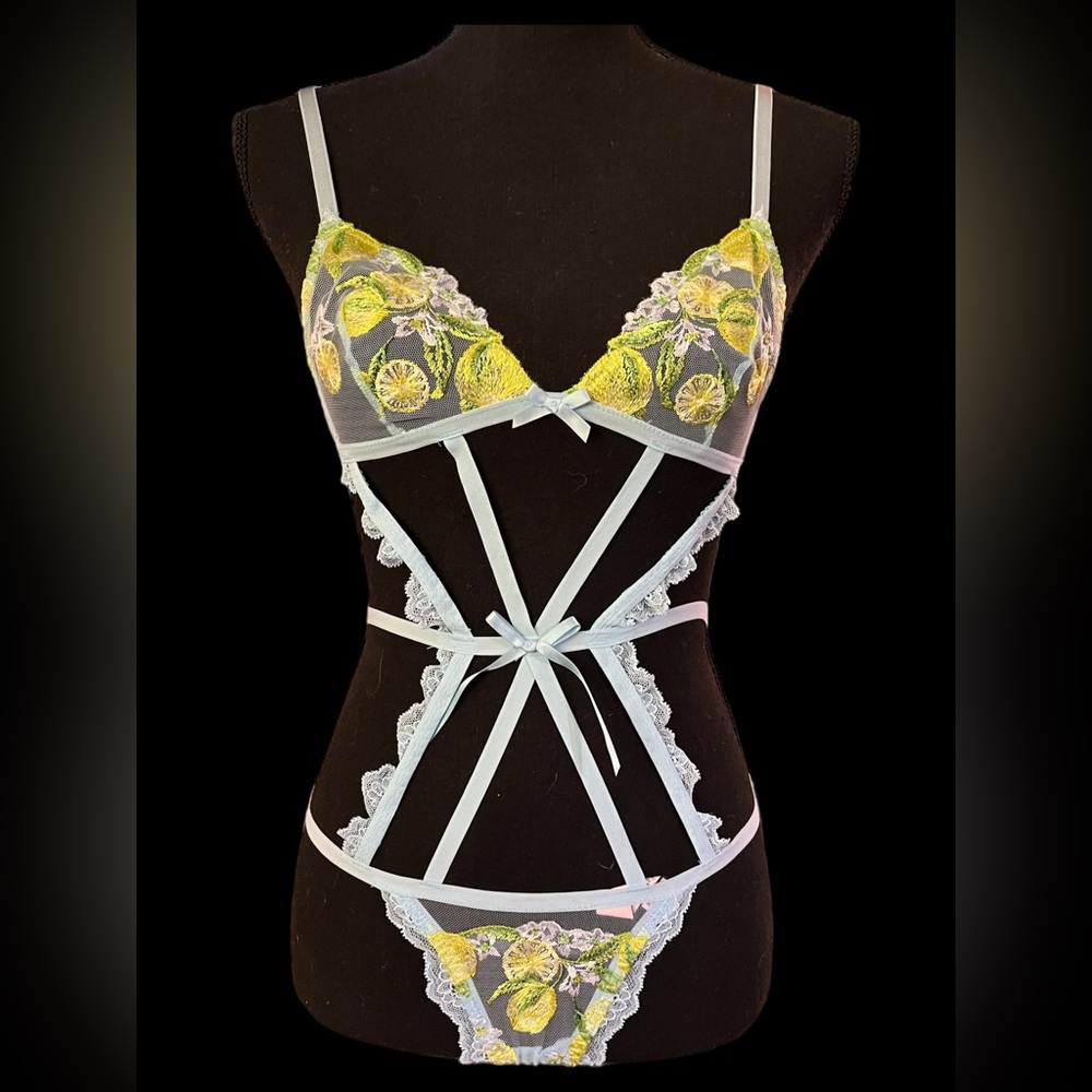 Victoria's Secret Lemon Embroidered Lingerie Set